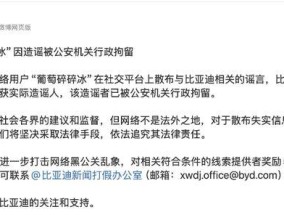 比亚迪：网民造谣“比亚迪充电爆炸”被行拘