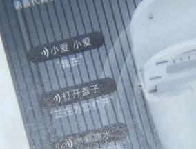 山寨小米马桶爆卖1.3亿，小米起诉获赔3000万