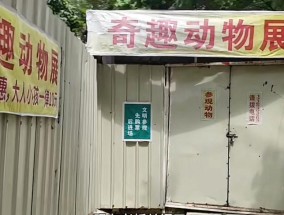 广东中山华佗山10元动物园爆火后，院长忙得没空喝水：红就赚一点，不红就退休养老