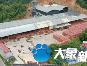 记者暗访湖南临湘一砖厂涉嫌用智障人员从事重体力劳动，每天工作12小时全年无休，只给饭不给钱，工人被解救时开心地称想回家