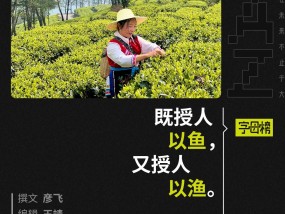钟睒睒：农民要价8元一斤茶叶，我给10块