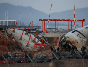 对济州航空事故的调查显示，在发动机中发现了鸟类羽毛