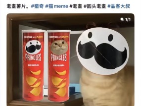 品客薯片视频被指玩虐猫梗，公司回应：不知这个梗，视频已删