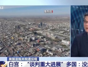 美国自吹贸易谈判有“重大进展”，多国回应：没这回事