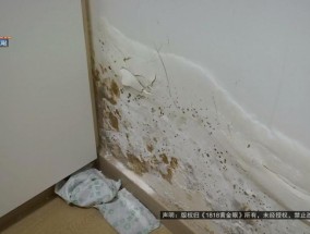 新房没有1个月就发霉了？向开发商反映后，业主：态度不能理解