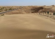 环着沙漠看新疆丨沙生植物种出生态经济双赢