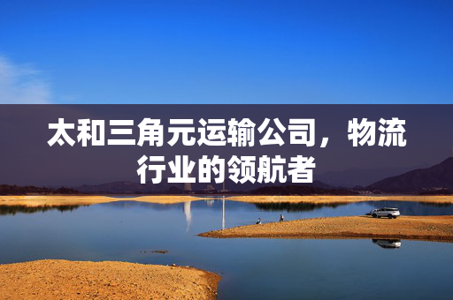 太和三角元运输公司，物流行业的领航者