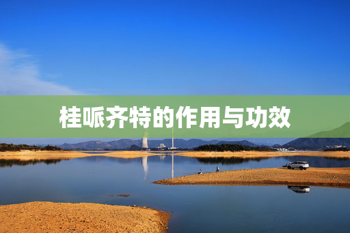 桂哌齐特的作用与功效
