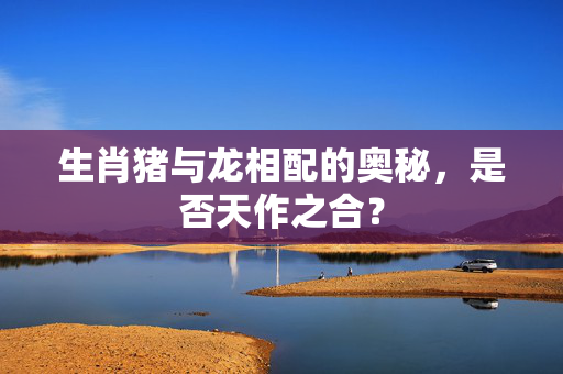 生肖猪与龙相配的奥秘，是否天作之合？