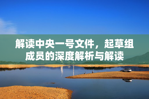 解读中央一号文件，起草组成员的深度解析与解读