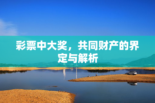 彩票中大奖，共同财产的界定与解析