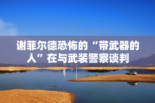 谢菲尔德恐怖的“带武器的人”在与武装警察谈判