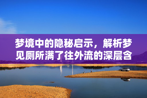 梦境中的隐秘启示，解析梦见厕所满了往外流的深层含义