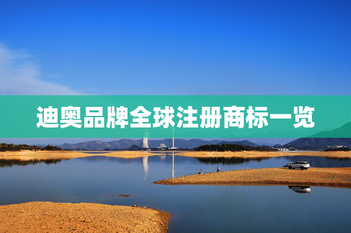 迪奥品牌全球注册商标一览