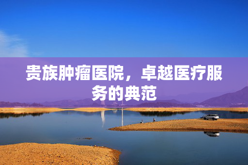 贵族肿瘤医院，卓越医疗服务的典范