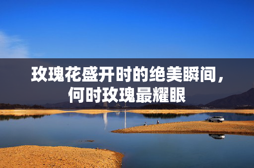 玫瑰花盛开时的绝美瞬间，何时玫瑰最耀眼