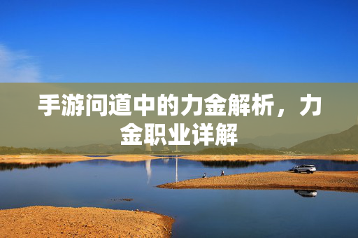 手游问道中的力金解析，力金职业详解