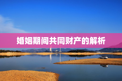 婚姻期间共同财产的解析