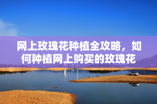网上玫瑰花种植全攻略，如何种植网上购买的玫瑰花
