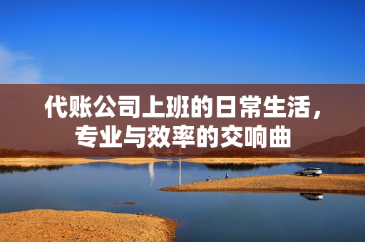 代账公司上班的日常生活，专业与效率的交响曲