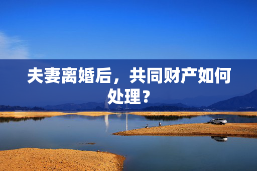 夫妻离婚后，共同财产如何处理？