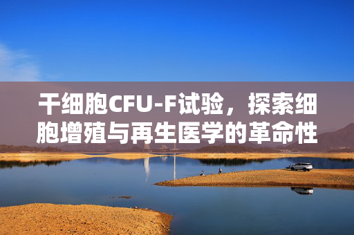 干细胞CFU-F试验，探索细胞增殖与再生医学的革命性途径
