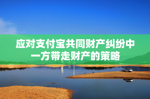 应对支付宝共同财产纠纷中一方带走财产的策略