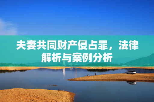 夫妻共同财产侵占罪，法律解析与案例分析