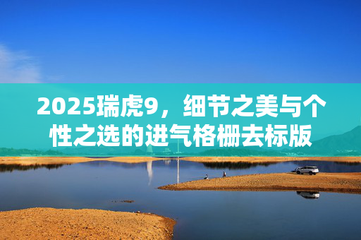 2025瑞虎9，细节之美与个性之选的进气格栅去标版