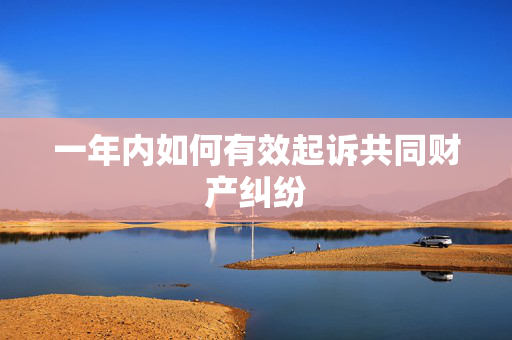 一年内如何有效起诉共同财产纠纷