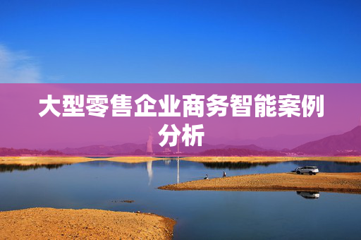 大型零售企业商务智能案例分析