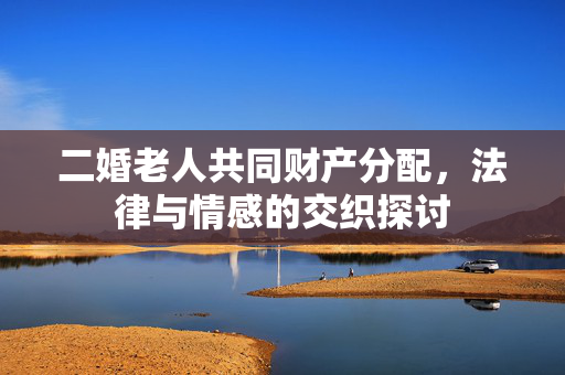 二婚老人共同财产分配，法律与情感的交织探讨