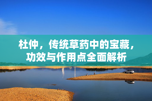 杜仲，传统草药中的宝藏，功效与作用点全面解析