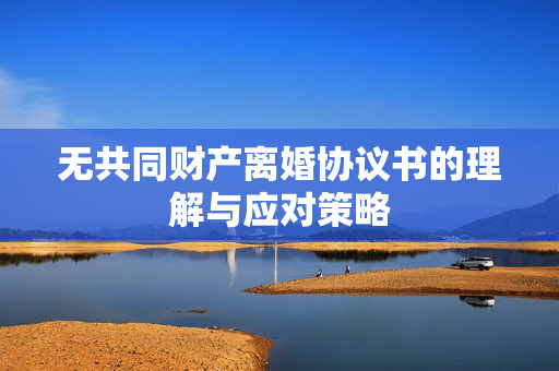 无共同财产离婚协议书的理解与应对策略