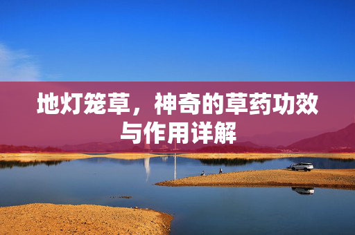 地灯笼草，神奇的草药功效与作用详解