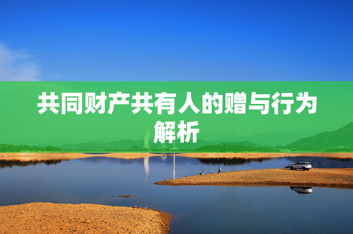 共同财产共有人的赠与行为解析