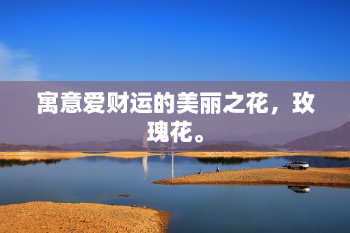 寓意爱财运的美丽之花，玫瑰花。