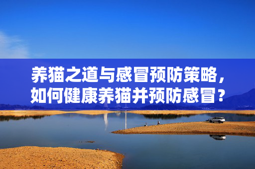 养猫之道与感冒预防策略，如何健康养猫并预防感冒？