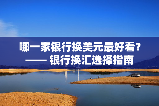 哪一家银行换美元最好看？—— 银行换汇选择指南