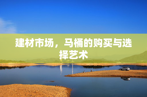 建材市场，马桶的购买与选择艺术