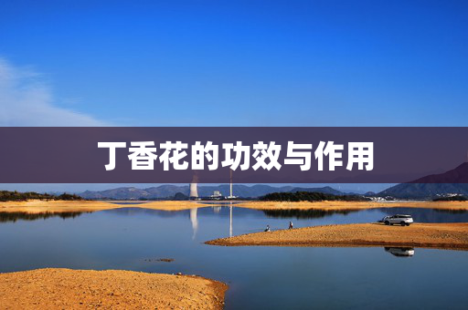 丁香花的功效与作用