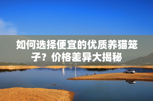 如何选择便宜的优质养猫笼子？价格差异大揭秘