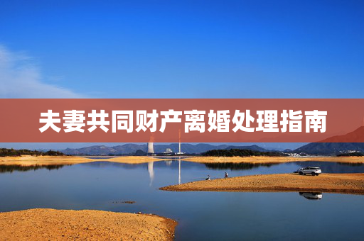 夫妻共同财产离婚处理指南