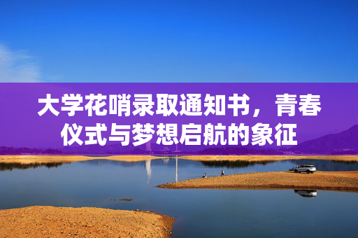 大学花哨录取通知书，青春仪式与梦想启航的象征
