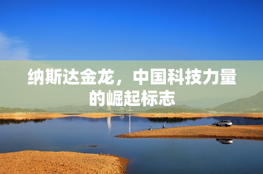 纳斯达金龙，中国科技力量的崛起标志