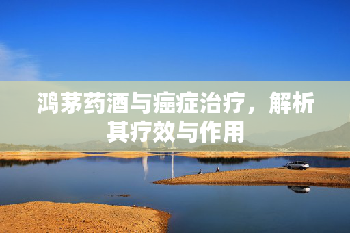 鸿茅药酒与癌症治疗，解析其疗效与作用