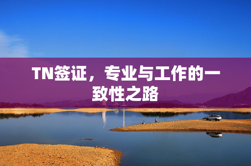 TN签证，专业与工作的一致性之路