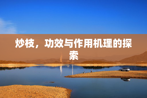 炒枝，功效与作用机理的探索