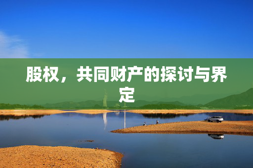 股权，共同财产的探讨与界定