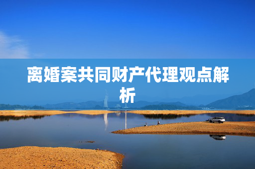 离婚案共同财产代理观点解析